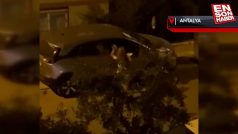 Antalya’da sinir krizi geçiren kadın otomobile taşla saldırdı
