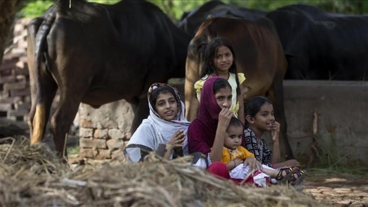 UNICEF: Pakistan’da 10 milyon çocuğun acil yardıma ihtiyacı var